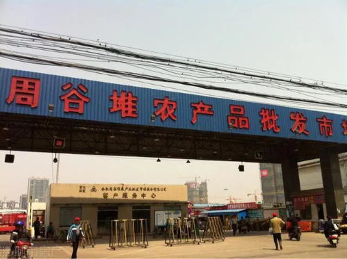 1992年的合肥 18张照片里的食用农产品批发市场