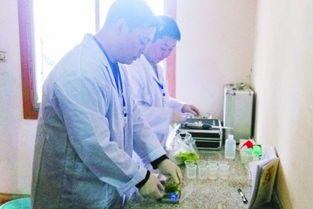 四川试行食用农产品批发市场农残检测室制度 保障“舌尖上的安全”